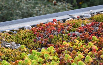 the cost of Acton Burnell green roof installation